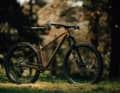Klare Linien, robustes Design - Orbea Laufey LTD 2023