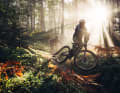 The light on the trails is particularly beautiful in autumn.