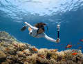 Waterproof up to 15 metres and therefore perfect for beach holidays.
