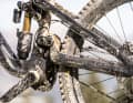 Quite complex: The rear triangle of the Pivot Phoenix in detail.
