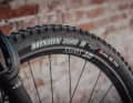 A Maxxis Minion DHR II on the front wheel provides traction in bends