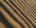 Athlet: Kilian Bron; Location: Nazca, Peru