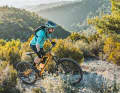 Although the Pole has great climbing characteristics, the high weight makes it reluctant to take the lead uphill.