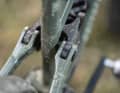 With a second pair of flip chips on the shock rocker, the geometry can be adapted for either a small 27.5-inch rear wheel or a 29er rear wheel. One design flaw: the bearing seat of the Horstlink bearing is slightly too large, which is why the bearing has significant play. Tighten it? No effect!