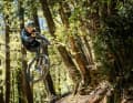 From now on, the Tyee will always come with a 170 mm fork, making it even more of an enduro bike than before.