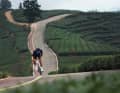 Weighing from 6.4 kilograms, the Propel is set to excel not only on flat terrain but also on hilly and mountainous stage routes