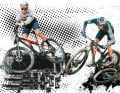 Fast threesome on test: Arc8 Evolve FS, Canyon Lux CFR Ltd. and Simplon Cirex 120 XT