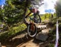 A shortened seat tube and reduced standover should make the descent even faster.