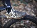 Not in the mood for wet feet? In winter, roller training offers mountain bikers a welcome fitness alternative.