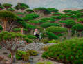 Biking in Oman: Nobody does that - but Elias Schwärzler does!
