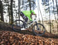 Haftungsfrage: Welchen Einfluss haben Karkasse, Gummimischung und Profil bei den Reifen der Top-Marken Continental, Maxxis und Schwalbe?