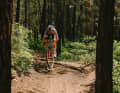 Between 50 and 60 millimetres of suspension travel should make it possible to ride even on rough single trails.