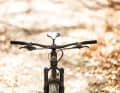 Sit on it and feel good: top handlebar width, comfortable Odi grips and tidy Shimano components