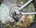 Solid: Shimano's XT drivetrain with 12 gears.