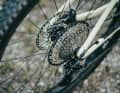 Rose is the only manufacturer to offer a large twelve-speed cassette, scoring points on tours with a lot of climbing.