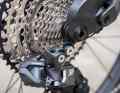 Die Shimano XT Di2 im Hinterrad schaltet elektronisch und auf Wunsch im Rollen auch automatisch.