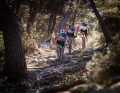 The Specialized Factory Racing Team tested the Roval Control SL TEam wheelset in various configurations for three years during the Cross Country World Cup.