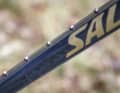 Plenty of bottle cage mounts: up to three water bottles fit into the frame of the Salsa Spearfish.