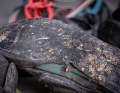 If the sole of your bike shoe looks like this, you should think about buying a new one!