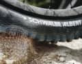 Better road holding: this is said to be the main strength of radial tyres.