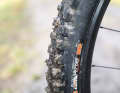 Stable tyres: Maxxis Assegai with DD casing roll on the rear. This emphasises the Scor's grip qualities.