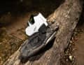 Die Sohle des Scott MTB Comp Schuhs besitzt eine mittlere Steifigkeit.