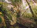 Runterrollen können alle, doch um auf den Felsen zu kommen, musst das Dune rumbalancieren wie ein Trial-Bike. Das klappte – sehr gut!