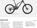 Ghost Poacha Pro: 6499 Euro | Fox 38 Factory Grip X2, TRP DH-R Evo Bremsen