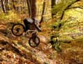 But you can also simply let the autumn leaves rustle on the trails outside your front door with dad. Just like Lukas here in Würmtal.