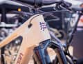 The flat-faced head tube adds a visual highlight.