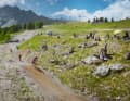 Incidentally, the Flowline Goldsee Trail has nothing to do with its famous namesake on the Stilfserjoch!