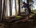 The downhill course: Together with the "Hill Bill" descent, this is the area where the experts cavort.