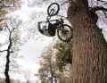 Dieser Stunt machte den unbekannten Bike-Mechaniker 2009 weltberühmt. Ein Flair am Baum im Stadtpark. Hier rollt Danny erneut am Baumstamm hoch.