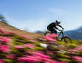 The Enduro racers (EDR) will have to make do with 7 World Cup stops, one more than in 2024, while the DH and XCO/XCC racers can look forward to a full 10 stops.