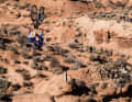 Jaxson Riddle competes  at Red Bull Rampage in Virgin, Utah, USA on October 19, 2025 // Bartek Wolinski / Red Bull Content Pool // SI202510200078 // Usage for editorial use only //
