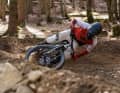 Specialized Status