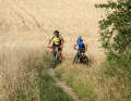 The trail section on the route between Lohr and Karlstadt adds up to a whopping 16 kilometres.