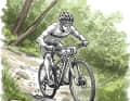 Speed comes from speed: In phase 2 of BIKE season preparation, intervals are increasingly being incorporated into the training plan.