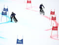France provided the largest contingent with 18 athletes.
