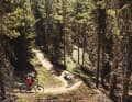 The trails on the Plose: Canadian handiwork with 1500 metres of depth.