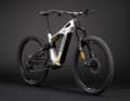 Eye-catcher: the limited edition TP4 LTD for 10,490 euros. However, there are only 30 of them.