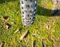 Kenda has launched a completely new tyre with the Double Black. We have already ridden the all-rounder