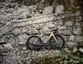 Trek Domane
