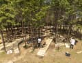 The Skinnys are integrated into the forest.