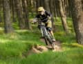 Even though almost all the trails in the Tweed Vally run through the forest: The scenery is constantly changing.