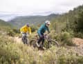 The core competences of trail bikes focus equally on uphill and downhill.