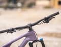 unique feature in this test group: a steering stop limiter protects the carbon top tube in the event of a fall.