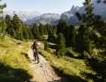 Off-road use yes, but please not too hard. The limited suspension travel alone restricts its suitability for demanding terrain.