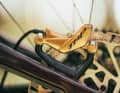 -piston brake is available in the colours gold, silver and black. Depending on the colour, prices vary between 359 and 379 euros each.