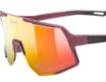 Die neue Sequenze CV mit Cranberry Matt Rahmen. Gibts auch in etlichen anderen Farben. Preis: 119,95 Euro - ohne kontrastverstärkte Gläser 99,95 Euro.